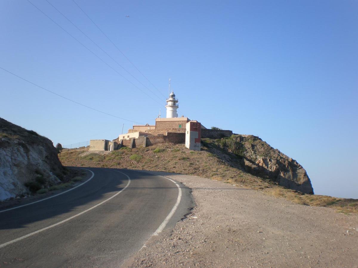 Gaviotas