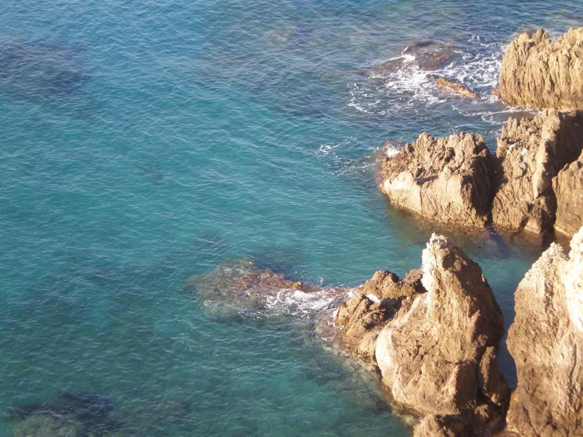 Apartment Gaviotas *