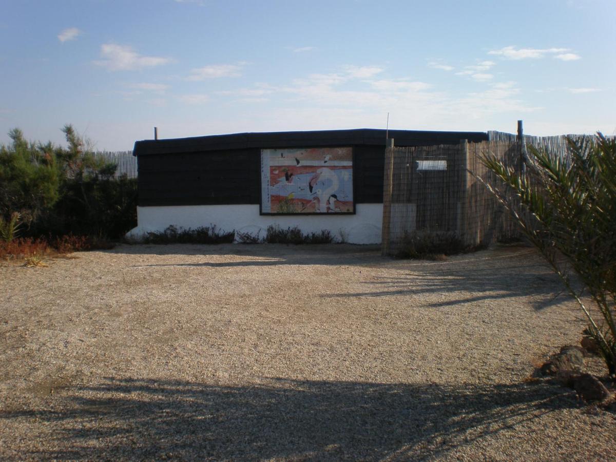Apartment Gaviotas *